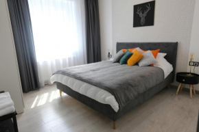 Comfy 2 Room Apartment - Free Parking - 350Mbps WiFi - Netflix Kaunas